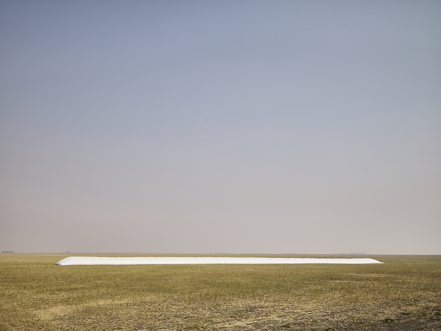 cleared 01,  South east of Regina, Saskatchewan, Canada, 2017