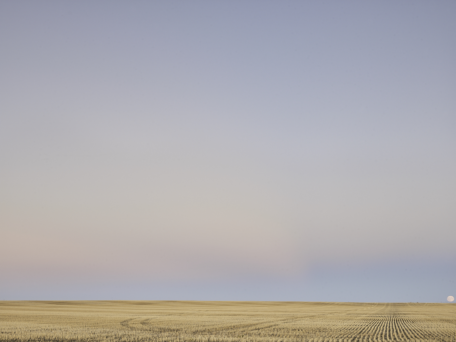 cleared 04,  South of Rouleau, Saskatchewan, Canada, 2017