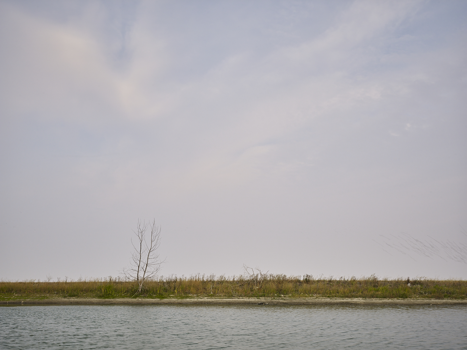 cleared 06,  Dugout north of Indian Head, Saskatchewan, Canada, 2017