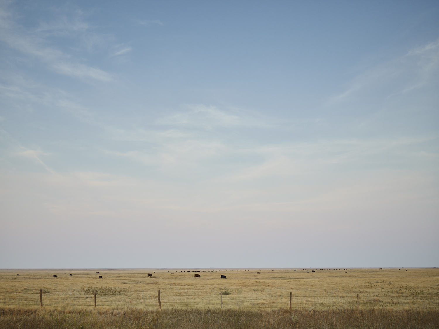 cleared 12,  East of Parry, Saskatchewan, Canada, 2017