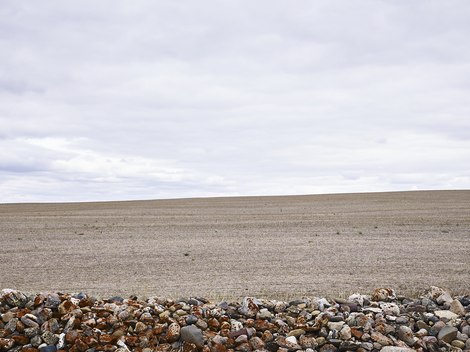 cleared 13,  Big Muddy, Saskatchewan, Canada, 2017