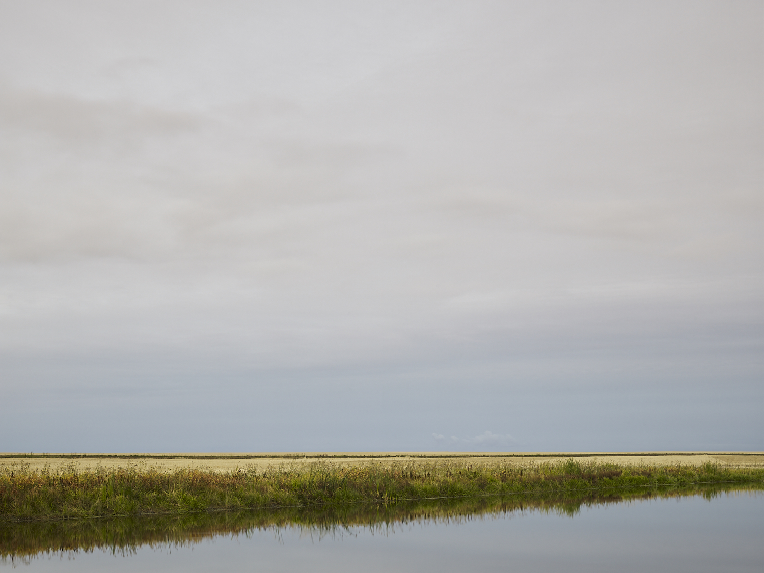 cleared 14,  North of Drinkwater, Saskatchewan, Canada, 2017