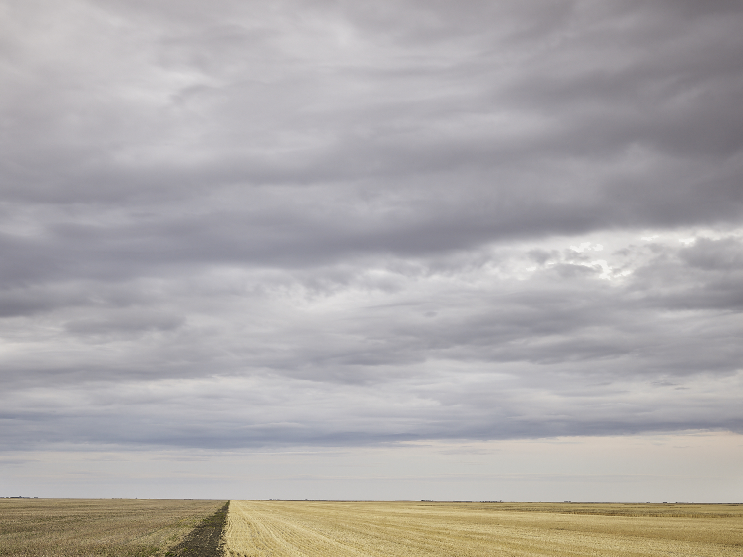 cleared 16,   South west of  Riceton, Saskatchewan, Canada, 2017