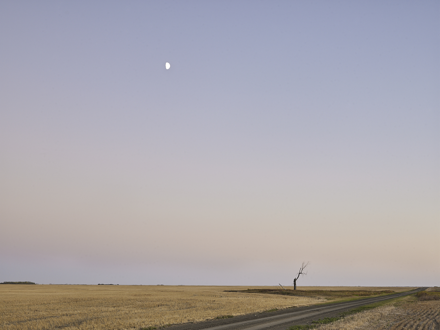 cleared 18,  South of Yellow Grass, Saskatchewan, Canada, 2017