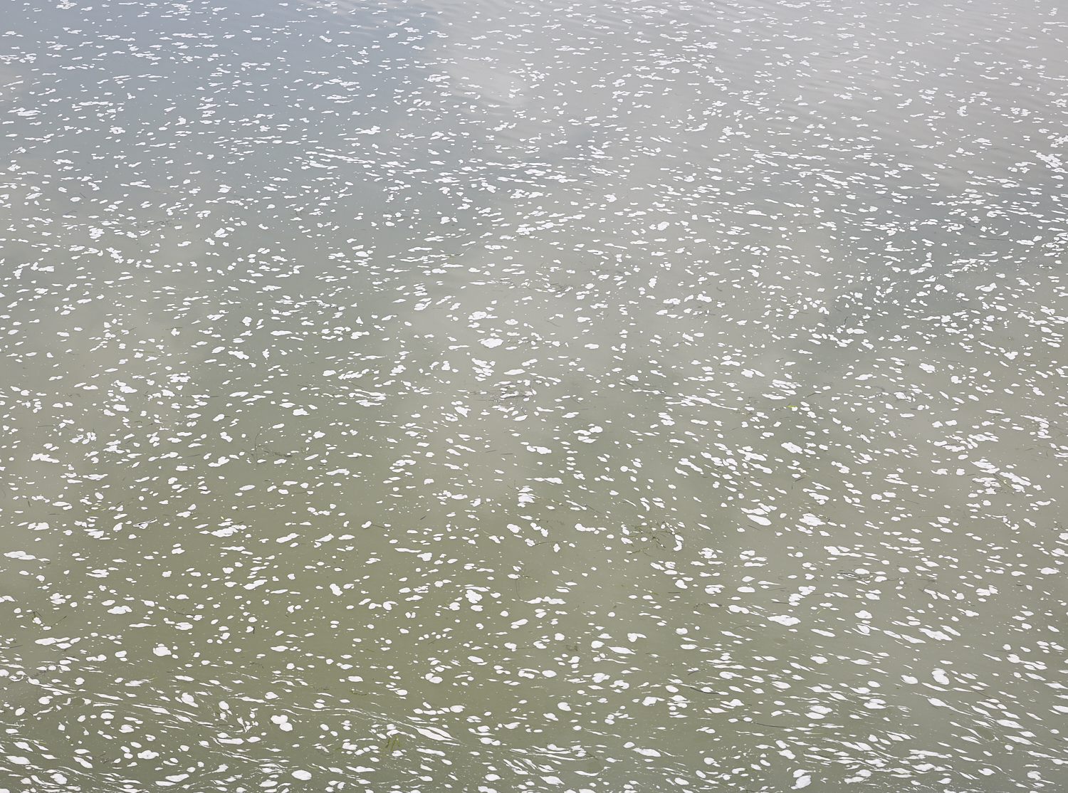 Water of the Xin'an River, Huangshan, China, 2017