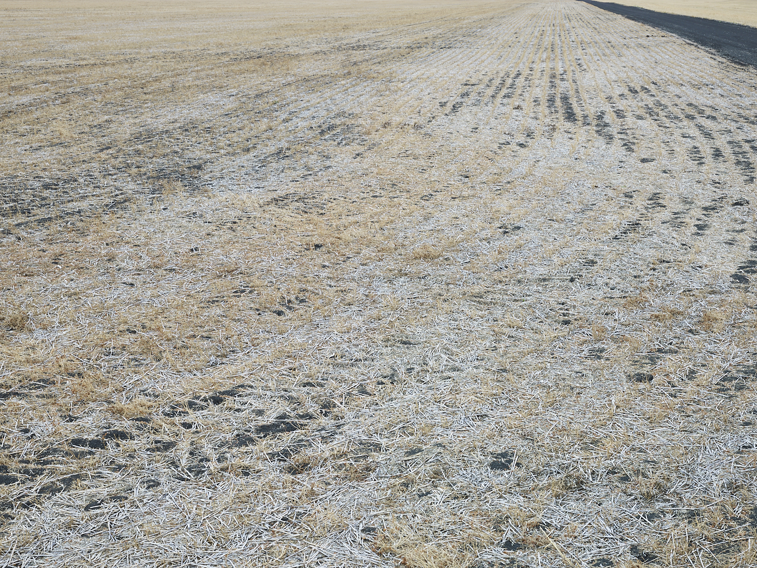 Traces 03, South east of Regina, Saskatchewan, Canada, 2017