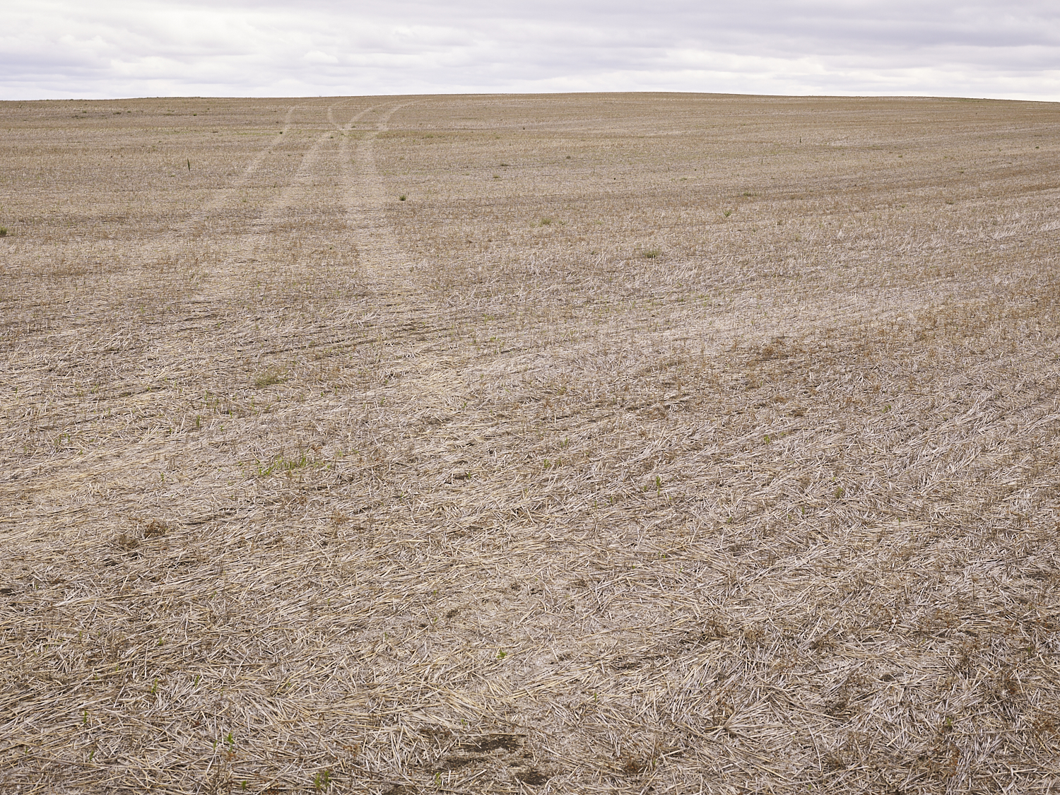 Traces 08, South of Regina, Saskatchewan, Canada, 2017